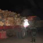 Tartagal: la Policía secuestró un cargamento de madera